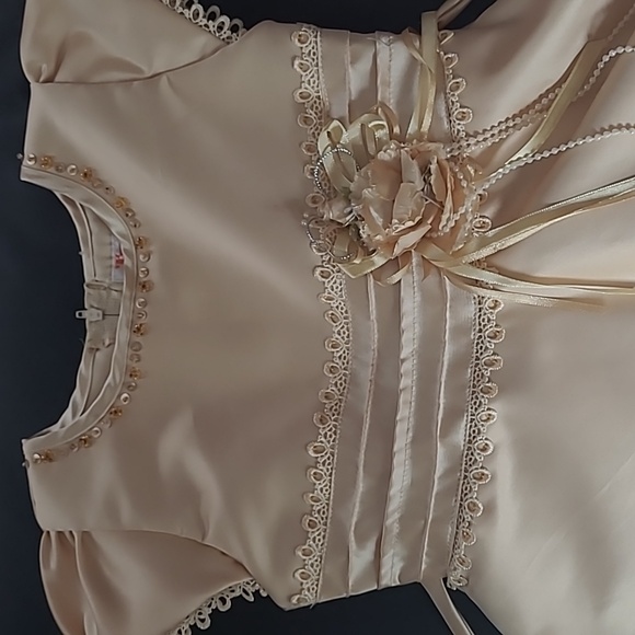 EUC 3T flower girl dress - Picture 2 of 5